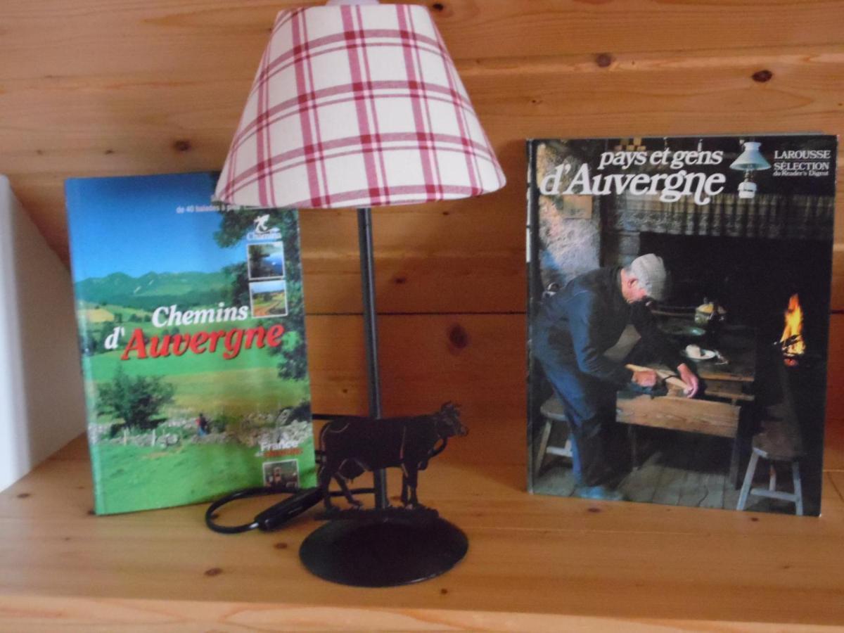 Chalet Des Clarines Saint-Genès-Champespe Dış mekan fotoğraf